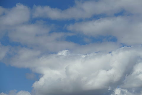 dangus, debesys, mėlyna, nuotaika, debesų forma, drumstas, atmosfera, oro, pobūdį, oras, debesis - dangus, dieną, fonas, lauke, klimatas, „cloudscape“, Debesuota, meteorologija, vasara, balta, grožis gamtoje, žemas kampo vaizdas, vaizdai - gamta, nėra žmonių, ramybė, balta spalva, ramioje scenoje, idiliškas, visą kadrą, minkštumas, 5K, CC0, Viešasis domenas, nemokamai