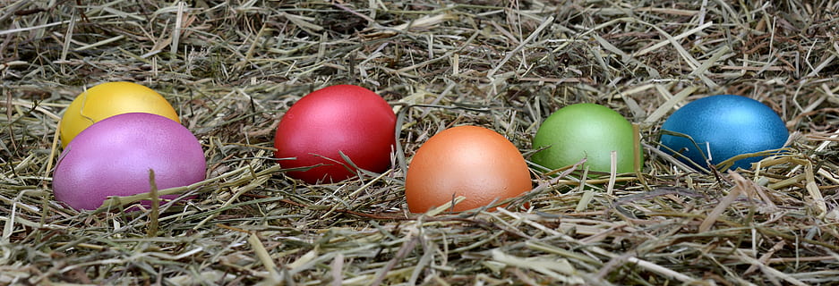 Senza titolo, uova di Pasqua, Pasqua, uovo, decorazione, decorazione di Pasqua, buona Pasqua, colorato, uova colorate, colore, decorazioni pasquali, dipinto, costume, fieno, uovo di Pasqua, auguri di Pasqua, intestazione, bandiera, immagine di testa, celebrazione di Pasqua, cibo e bevande, avvicinamento, multicolore, erba, giorno, nessuno, dipingere, cibo, celebrazione, vacanza, natura, nido d'animali, uovo animale, vulnerabilità, gruppo di oggetti, fragilità, pianta, all'aperto, viola, 5K, CC0, dominio pubblico, privo di copyright