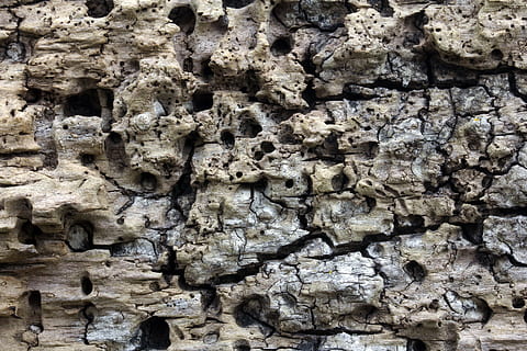 lemn, fundal, structura, textură, fundaluri, model, texturată, natură, stare brută, material, abstract, a închide, maro, vechi, crăpat, macro, nici o persoana, cadru complet, construită, arhitectură, în aer liber, zi, perete, solid, montare pe perete, istorie, perete de piatra, vedere unghiulară joasă, stâncă, geologie, erodate, 5K