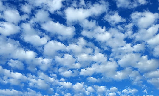 núvols, cel, blau, núvol - cel, cloudscape, fons, atmosfera, bellesa a la natura, Color blanc, naturalesa, escenics - natura, medi ambient, vent, cap gent, núvol, cel dramàtic, dia, meteorologia, a l'aire lliure, netejar, llibertat, efecte texturat, clima, brillant, 4K, CC0, domini públic, lliure de regalies