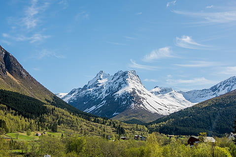 zöld, leveles fa, hegy, nappal, fa, természet, scenics, tájkép, hegység, szabadban, sziklás hegyek, ég, hegycsúcs, Alberta, szépség a természetben, nem ember, hó, színes kép, erdő, tájak, felhő - ég, festmények - természet, környezet, nem városi színtéren, növény, nyugodt jelenet, hideg hőmérséklet, téli, nyugalom, mező, föld, zöld szín, snowcapped hegy, 5K, CC0, közkincs, jogdíjmentes