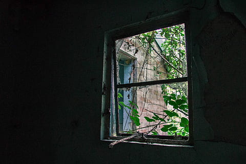 rektangulære, Brun, træ-, indrammet, vindue, dagtimerne, scene, murstenshus, gammel, vindueskant, grøn, urban udforske, bygning, Urbex, natur, gået i stykker, forladt, træ, mørk, mørke, brudt vindue, indendørs, beskadiget, forældet, plante, arkitektur, kørt ned, ingen mennesker, dag, forringelse, dårlig stand, nedgang, forvitret, bygget struktur, ødelagt, nedrevet, vinduesramme, 4K, CC0, offentligt domæne, royaltyfrie