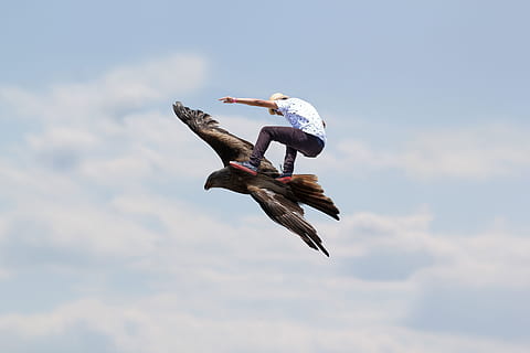 vyras, Jodinėjimas, paukštis, skraidantis, erelis, Saunus, skrydis, dangus, plikas erelis, dom, erelio skraidymas, skatebirding, skate, šokinėja, lauke, laisvė, vidurio oro, mėlyna, pobūdį, žmonių, vyrai, tik vienas žmogus, gyvūnams, gyvūnų gyvūnija, skleisti sparnus, debesis - dangus, žemas kampo vaizdas, dieną, stuburiniai, judėjimas, vienas gyvūnas, visas ilgis, iš šono, 5K, CC0, Viešasis domenas, nemokamai