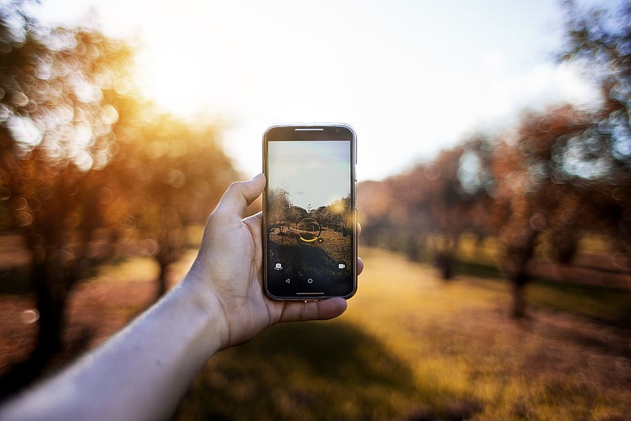 mà, càmera, smartphone, arbres, borrós, borrosa, brillant, captura, mòbil, primer pla, profunditat de camp, electrònica, focus, gadget, telèfon, fotografia, sol brillant, tecnologia, pantalla tàctil, tecnologia sense fils, telèfon intel·ligent, dispositiu d’informació portàtil, mà humana, telèfon mòbil, temes de fotografia, comunicació, missatgeria fotogràfica, part del cos humà, fotografiar, celebració, activitat, naturalesa, cel, una persona, arbre, pantalla, a l'aire lliure, dit, 5K