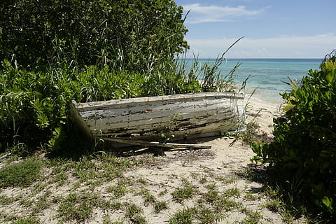 bote, playa, anda, agua, planta, tierra, tranquilidad, mar, naturaleza, escena tranquila, belleza en la naturaleza, paisajes - naturaleza, cielo, nadie, día, crecimiento, barco náutico, horizonte sobre el agua, color verde, árbol, hierba, al aire libre, bote de remos, 5K, CC0, dominio público, libre de derechos