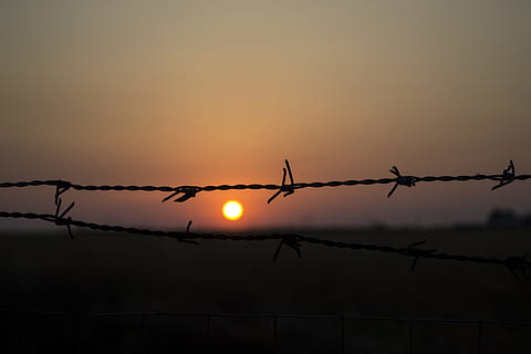 pigtråd, solnedgang, sort, dramatisk, bur, metal, natur, himmel, silhuet, hegn, sikkerhed, beskyttelse, grænse, barriere, sol, skønhed i naturen, tråd, scenics - natur, rolig scene, ro, skumring, udendørs, ingen mennesker, 4K, CC0, offentligt domæne, royaltyfrie