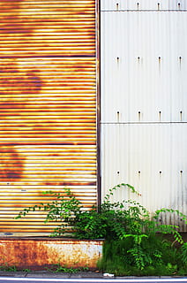 fàbrica, magatzem, òxid, obturador, color verd, persianes, finestra, porta, exterior de l'edifici, arquitectura, planta, estructura construïda, cap gent, dia, creixement, ferro, tancat, entrada, naturalesa, metall, funció de construcció de parets, ferro corrugat, a l'aire lliure, edifici, corrugat, garatge, 2K, CC0, domini públic, lliure de regalies