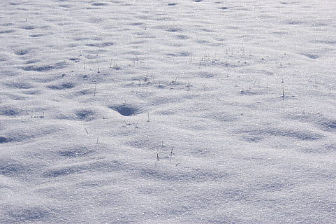 Schnee, Winter, winterlich, Gras, gefroren, Eis, Hintergründe, Vollbild, Natur, keine Leute, kalte Temperatur, Land, Tag, High Angle View, weiße Farbe, Abdeckung, Feld, Schönheit in der Natur, drucken, Muster, Spur - Impressum, Schispur, draußen, Pulverschnee, 4K, CC0, gemeinfrei, lizenzfrei