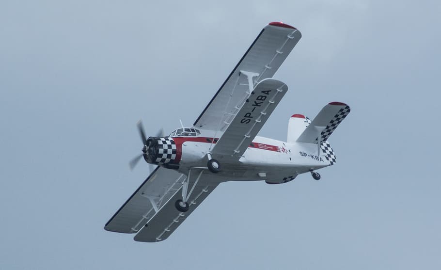 an-2, l'avió, saltar, avió, vehicle aeri, transport, manera de transport, volant, militar, sol objecte, en moviment, vista lateral, cap gent, cel, moviment, exèrcit, avió de combat, indústria aeroespacial, dia, fons de colors, cel clar, tir de l'estudi, fons blau, 2K