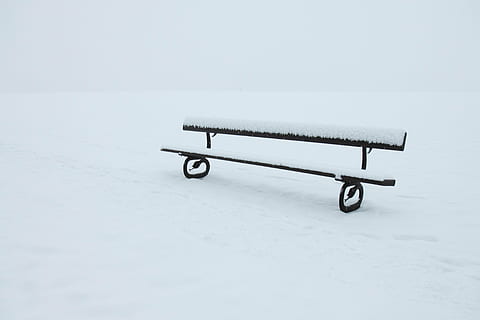 Černá, lavice, pokryté, sníh, opuštěný, sama, Studený, prázdný, mráz, mrazivý, zamrzlý, led, krajina, osamělý, park, sezóna, zasněžený, bílý, zimní, nikdo, kopie prostor, jeden objekt, studená teplota, absence, uvnitř, den, bílá barva, sedadlo, studio shot, klid, park - člověk dělal prostor, jednoduchost, stálý život, konzumerismus, kolo, 4K, CC0, veřejná doména, bez autorských práv