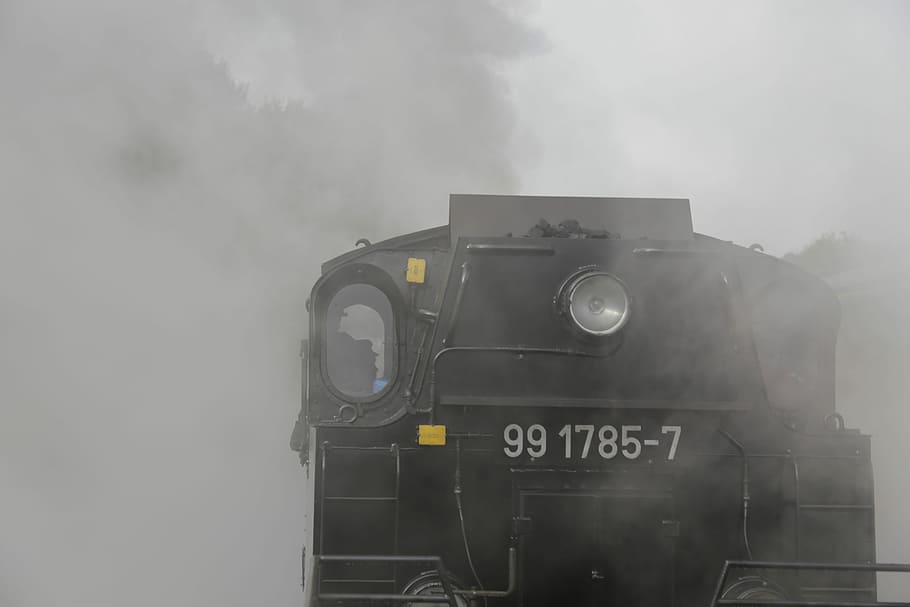 tren antic, Chemnitz, dresden, Alemanya, locomotora, par, caldera, ferrocarril de via estreta, boira, fum - estructura física, cap gent, transport, tren de vapor, vapor, comunicació, text, nombre, manera de transport, signe, naturalesa, dia, a l'aire lliure, cel, vehicle terrestre, transport públic, núvol - cel, 5K