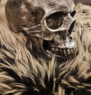 skull, head, face, frame, demon, close-up, mask, disguise, no people, mask - disguise, spooky, costume, arts culture and entertainment, bone, representation, one animal, horror, celebration, animal body part, obscured face, 2K, CC0, public domain, royalty free