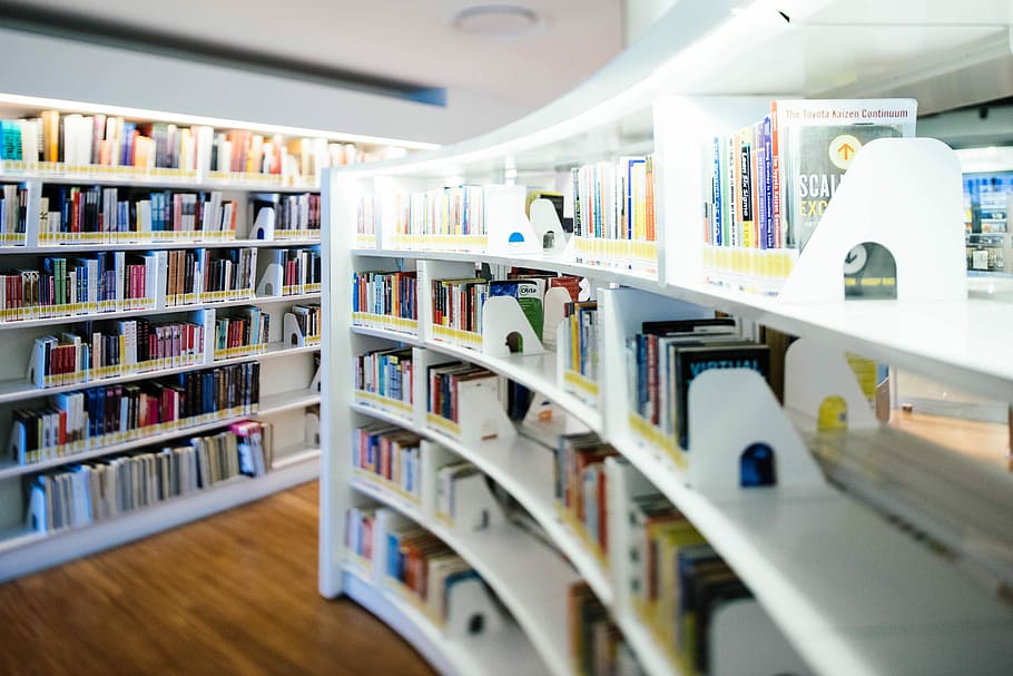 Bücherregal, voll, Buch, Weiß, hölzern, Bücher, Bibliothek, Bibliotheksinnenraum, Lesestoff, lesen, Buchhandlung, Handel, minimal, Regal, Veröffentlichung, Bildung, drinnen, große gruppe von gegenständen, Wahl, Variation, selektiver Fokus, Fülle, in einer Reihe, Anordnung, keine Leute, Auftrag, Lernen, Literatur, Sammlung, Konsumismus, 5K