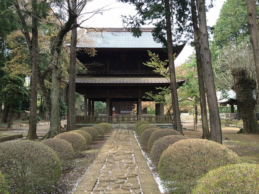 tempio, cancello, autunno, albero, struttura costruita, architettura, ponte - struttura fatta dall'uomo, all'aperto, nessuno, pianta, direzione, la strada davanti, natura, giorno, crescita, sentiero, parco, colonna architettonica, parco - spazio creato dall'uomo, religione, giardino formale, giardino, di fila, 2K