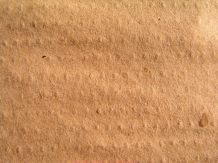 kvality materiálu, Pozadí, pěna, hnědý, texturou, celý rám, nikdo, vzor, detail, Příroda, přistát, den, venku, dřevo - materiál, hrubý, zvíře, béžový, rostlina, abstraktní, muž, cereální rostlina, materiál, efekt, dřevo, 2K, CC0, veřejná doména, bez autorských práv