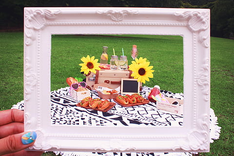 person, holding, rectangular, white, photo frame, front, varieties, foods, sandwiches, outdoors, food, grass, summer, front or Back Yard, formal Garden, flower, day, human body part, human hand, people, hand, flowering plant, plant, nature, freshness, food and drink, one person, celebration, sweet food, real people, close-up, sweet, table, finger, 1080P, CC0, public domain, royalty free