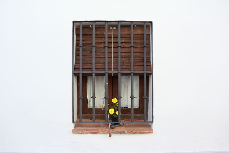 groc, gira-sols, es mostra, finestra, bars, obturador, cec, casa, arquitectura, exterior de l'edifici, una persona, estructura construïda, edifici, longitud completa, dia, ocupació, homes, entrada, de peu, porta, persones reals, vista del darrere, a l'aire lliure, naturalesa, treball, adult, 5K