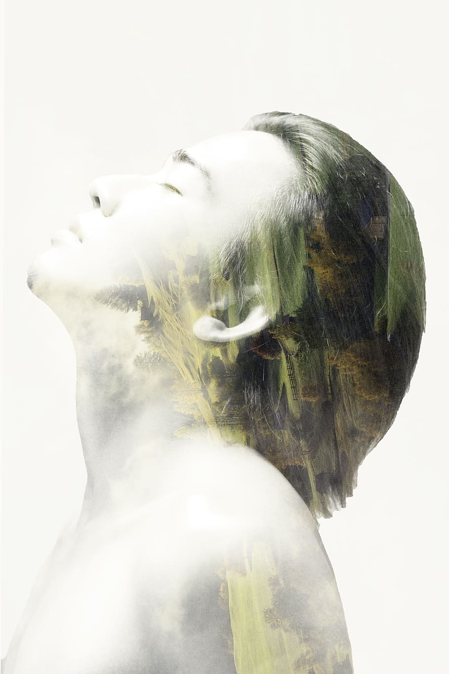 doppia esposizione, Fotografare, contatto, umano, esposizione, albero, photoshop, design, solo una donna, volto umano, girato in studio, solo adulti, una persona, colpo alla testa, sfondo bianco, composito digitale, esposizione multipla, rappresentazione, avvicinamento, rappresentazione umana, occhi chiusi, arte e artigianato, creatività, vista laterale, statua, in casa, scultura, parte del corpo umano, parte del corpo, giovane adulto, vista profilo, 5K