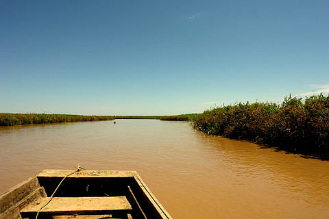 river, amazon, bolivia, crossing, holiday, nature, calm, water, people, soledad, peace, barca, barge, lake, outdoors, landscape, tree, summer, rural Scene, sky, scenics - nature, plant, tranquility, beauty in nature, clear sky, tranquil scene, no people, nautical vessel, copy space, transportation, day, non-urban scene, 2K, CC0, public domain, royalty free