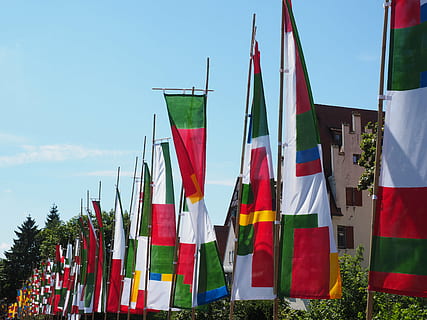 flags, colorful, blow, wind, flutter, blue, red, yellow, danube fixed, ulm, flag, sky, multi colored, patriotism, nature, no people, day, plant, tree, variation, choice, cloud - sky, pole, low angle view, outdoors, in a row, side by side, striped, independence, 4K, CC0, public domain, royalty free