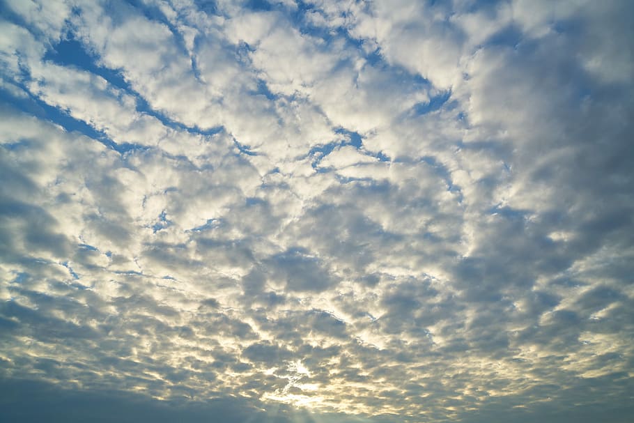 cel clar i ennuvolat, cel, núvol, blau, naturalesa, solar, estiu, núvols, posta de sol, atmosfera, paisatge, esponjós, ambiental, dia, primavera, núvols blancs, suau, espai, composició, textura, increïble, pau, fons, bonic, al matí, núvol - cel, bellesa a la natura, escenics - natura, cloudscape, vista d’angle baix, cap gent, llum solar, cel dramàtic, tranquil·litat, escena tranquil·la, a l'aire lliure, idíl·lic, resum, vent, fons abstractes, meteorologia, brillant, 8K