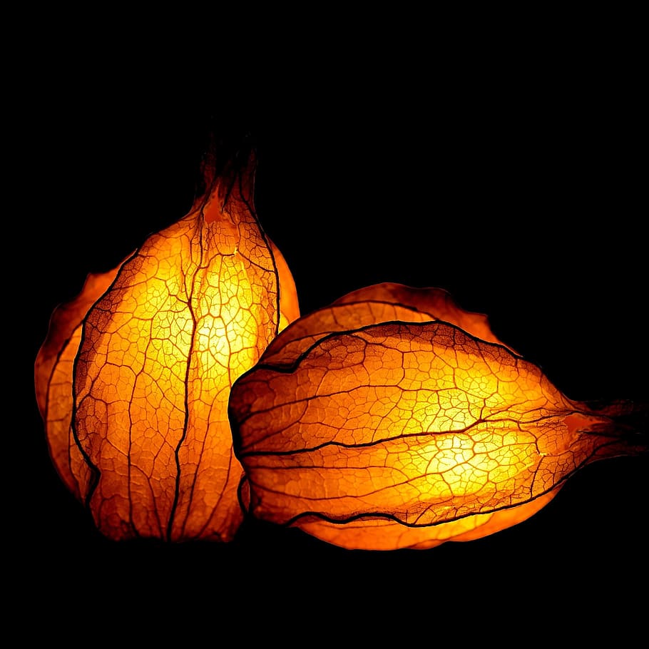 dos, taronja, làmpades de fulla, physalis, fruita, brillant, deco, capgros de capa, menjar, saludable, fruites, vitamines, decoració, natura morta, exòtic, tir de l'estudi, menjar i beguda, fons negre, alimentació saludable, primer pla, a l'interior, cap gent, benestar, color taronja, vegetals, frescor, cirera d’hivern, naturalesa, sol objecte, tallar, còpia espai, il·luminat, 1080P