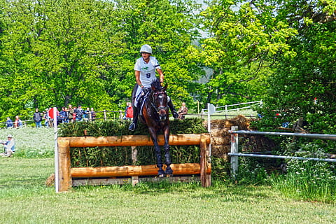 alsidighed, ride, alsidighed undersøgelse, military, militær-ridning, hest, hindring, terræn, handling, bevægelse, rytteren, Brun, hdr, Marbach, stud, plante, træ, fuld længde, rigtige mennesker, natur, fritidsaktivitet, dag, vækst, livsstil, grøn farve, afslappet tøj, mennesker, hjelm, Kvinder, herrer, repræsentation, udendørs, græs, parkere, ridning, 1080P, CC0, offentligt domæne, royaltyfrie