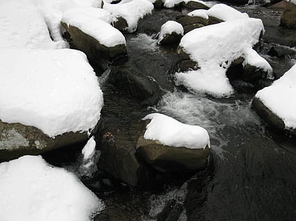 winter, brook, rocks, cold, white, creek, outdoor, natural, environment, cold temperature, snow, water, nature, frozen, white color, ice, no people, day, beauty in nature, high angle view, river, outdoors, covering, tranquility, flowing water, melting, flowing, 2K, CC0, public domain, royalty free