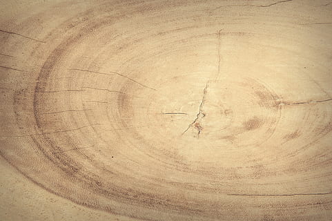 beige Holzscheibe, abstrakt, Antiquität, Hintergrund, Tafel, braun, Gebäude, Zimmerei, Nahansicht, Farbe, dunkel, Dekor, Dekoration, dekorativ, Design, getrocknet, Fußboden, Korn, grunge, Hartholz, Zuhause, Innere, Holz, Makro, Material, natürlich, Natur, Eiche, alt, Struktureffekt, Hintergründe, konzentrisch, keine Leute, draußen, Tag, texturiert, Vollbild, Baum, Holz - Material, Muster, Geometrische Figur, Kreis, Retro-Stil, gestalten, direkt darüber, geknackt, Baumstamm, Rau, Baumring, Borke, Holzmaserung, verschmiert, 4K, CC0, gemeinfrei, lizenzfrei