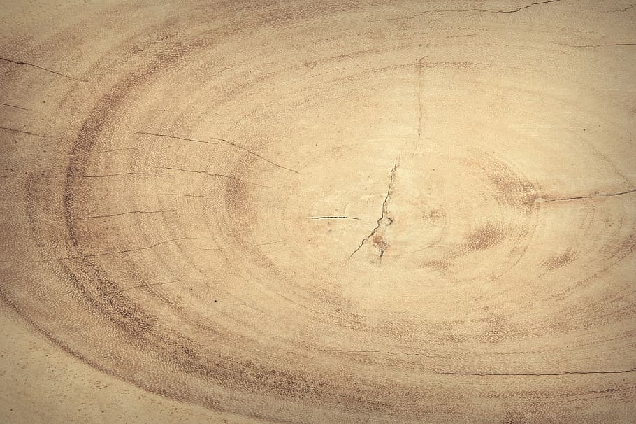 beige Holzscheibe, abstrakt, Antiquität, Hintergrund, Tafel, braun, Gebäude, Zimmerei, Nahansicht, Farbe, dunkel, Dekor, Dekoration, dekorativ, Design, getrocknet, Fußboden, Korn, grunge, Hartholz, Zuhause, Innere, Holz, Makro, Material, natürlich, Natur, Eiche, alt, Struktureffekt, Hintergründe, konzentrisch, keine Leute, draußen, Tag, texturiert, Vollbild, Baum, Holz - Material, Muster, Geometrische Figur, Kreis, Retro-Stil, gestalten, direkt darüber, geknackt, Baumstamm, Rau, Baumring, Borke, Holzmaserung, verschmiert, 4K