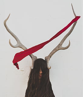 surrealisme, begreber og ideer, dyr, hjortetak, studio skud, rensdyr, langt hår, jul, kun voksne, hår, en person, frisure, hornede, murbygningsfunktion, dyreliv, hovedskud, taljen op, indendørs, hjort, livsstil, ung voksen, bagfra, Kvinder, dekoration, 4K, CC0, offentligt domæne, royaltyfrie