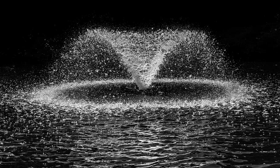 fumigació de la font d'aigua, envoltat, menjar, Font d'aigua, fumigació, Font, negre, blanc, splash, aigua, tirar, dispersió, tiroteig, cercle, ornament, parc, explosió, estany, a l'aire lliure, cap gent, naturalesa, nit, moviment, esquitxades, davant del mar, exposició llarga, creativitat, mar, moviment borrós, aigua que flueix, ondulat, emoció positiva, bellesa a la natura, a l'aire, 5K