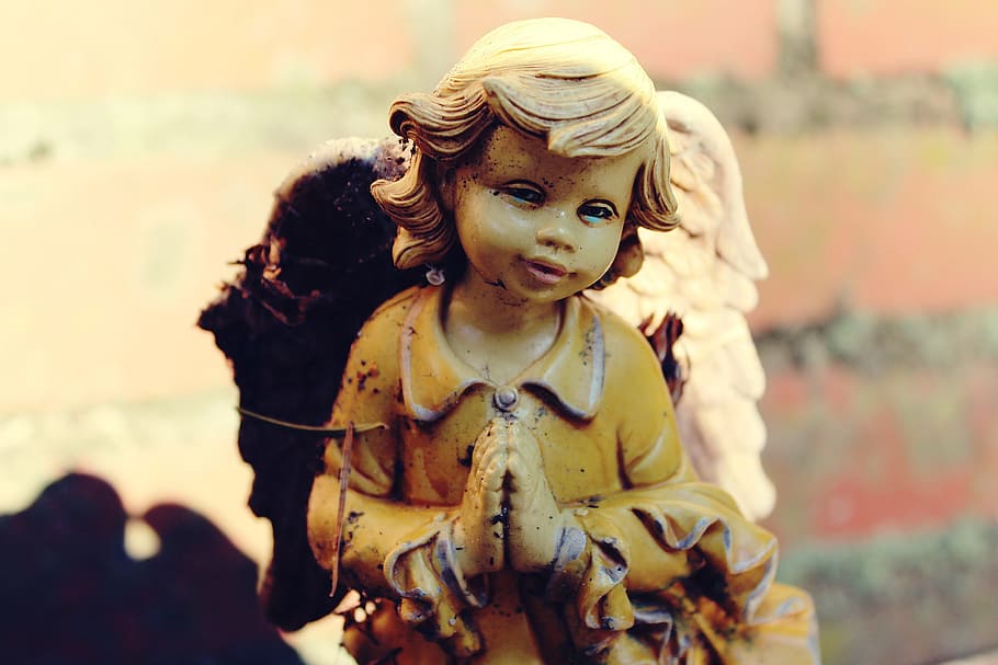 žlutá, oblečený, andělská figurka, anděl, socha, postava, křídlo, hřbitov, žena, Andělská tvář, andělská postava, umění, sochařství, víra, náboženství, modlit se, odpočinek, modlitba, křesťan, křesťanství, Bůh, připomínat, ruce, duchovní, rozjímavý, zlato, stín, slunce, zeď, zaměřit se na popředí, dětství, den, dítě, lidé, venku, detail, Příroda, při pohledu na fotoaparát, zastoupení, lidské zastoupení, potomek, čelní pohled, portrét, slunečního světla, tvořivost, oblečení, účes, nevinnost, 4K