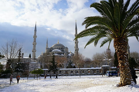 Moschee, Schnee, Truthahn, die Architektur, Baum, gebaute Struktur, Anbetungsstätte, Gebäudehülle, Himmel, Kuppel, Natur, Religion, Gebäude, Reiseziele, Glauben, Tourismus, Spiritualität, kalte Temperatur, Reise, Pflanze, Palme, draußen, 5K, CC0, gemeinfrei, lizenzfrei