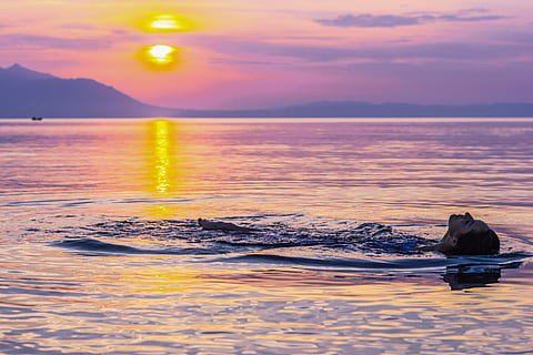 person, floating, water, setting, sun, sky, sea, sunset, cloud - sky, nature, scenics - nature, beauty in nature, tranquility, animal themes, motion, animal, animal wildlife, animals in the wild, horizon over water, no people, tranquil scene, land, underwater, outdoors, 4K, CC0, public domain, royalty free