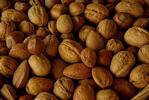 banyak, kacang almond, buah kering, gila, kacang hazel, kacang, kacang - makanan, makanan, makanan dan minuman, sekelompok besar objek, makan sehat, latar belakang, bingkai penuh, kelimpahan, kenari, kesejahteraan, kesegaran, tidak ada orang, singkatnya, masih hidup, merapatkan, coklat, buah, dalam ruangan, badam, 4K, CC0, domain publik, bebas royalti