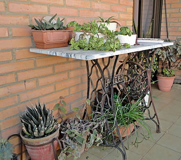 sewing, machine, green, singer, flowers, potted plant, plant, growth, no people, nature, day, wall, variation, choice, wall - building feature, green color, front or back yard, brick, outdoors, architecture, brick wall, container, succulent plant, cactus, flower pot, herb, gardening, houseplant, 2K, CC0, public domain, royalty free