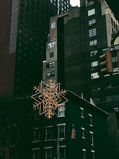 architettura, costruzione, infrastruttura, struttura, istituzione, appartamento, finestre, condominio, struttura costruita, esterno dell'edificio, Inquadratura dal basso, città, nessuno, quartiere residenziale, edificio per uffici esterno, notte, alto - alto, illuminato, all'aperto, natura, moderno, grattacielo, Torre, finestra, distretto finanziario, 4K, CC0, dominio pubblico, privo di copyright