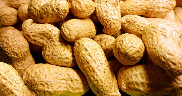 Haufen Erdnüsse, Erdnuss, geröstet, nuklear, Snack, Nuss, Nüsse, Schale, Essen und Trinken, Lebensmittel, große gruppe von gegenständen, Frische, Hintergründe, Vollbild, gesundes Essen, Wohlbefinden, Nahansicht, Fülle, Stillleben, drinnen, keine Leute, texturiert, braun, Nuss - Essen, Verkauf, Brot, Obst, 2K, CC0, gemeinfrei, lizenzfrei