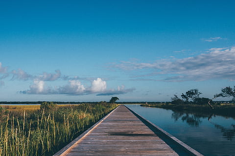 maro, de lemn, dock pod, lângă, corp, apă, iarbă, cale, divagare, mers pe jos, plimbare, Boardwalk, traseu, aventură, excursie pe jos, drumeții, vedere, pitoresc, natură, incoerent, mers, în aer liber, activ, peisaj, mediu rural, concediu de odihna, timp liber, vară, drumetii montane, parc, mod de viata, trek, agrement, copaci, fericit, râu, cer, plantă, liniște, o scenă liniștită, frumusețe în natură, scenice - natura, nor - cer, calea de urmat, direcţie, lac, nici o persoana, lemn - material, zi, mediu inconjurator, creştere, diminuarea perspectivei, 4K, CC0, domeniu public, fără drepturi de autor