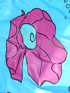 involucro di plastica, comico, figure, figure comiche, divertente, stampato, conchiglia, blu, illustrazione, assistenza sanitaria e medicina, sfondo colorato, nessuno, biologia, avvicinamento, giorno, colore rosa, in casa, arte e artigianato, tessile, creatività, modello, rappresentazione, rappresentazione animale, direttamente sopra, vista dall'alto, natura morta, natura, pianta, color turchese, multicolore, piscina, 2K, CC0, dominio pubblico, privo di copyright