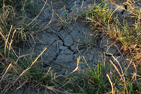 Boden, Risse, Dürre, Natur, sandig, trocken, Struktur, Muster, Erde, dehydriert, schrumpfte vor, grau, geknackt, trockener Boden, Regenmangel, aufgebohrt, Rau, Steine, Erde vertocknete, halme, Gras, Gräser, schließen, stammt, verwelkt, Pflanze, Sommer-, Sonne, Licht, Orange, getrocknet, keine Leute, Tag, draußen, High Angle View, Land, Wachstum, Tierthemen, Tier, Feld, Ruhe, Schönheit in der Natur, Wasser, Umgebung, Baum, Tierwelt, Nahansicht, Nicht-städtische Szene, 4K, CC0, gemeinfrei, lizenzfrei