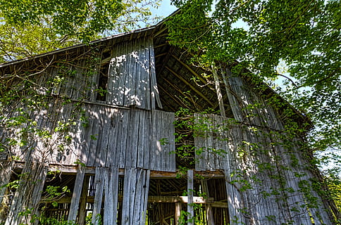 granero, graneros, rústico, Art º, arte digital, artístico, texturizado, Ohio, rural, país, paisaje, granja, granjas, agricultura, condado de champaign, arruinado, granero en mal estado, abandonado, granero abandonado, no usado, granero no utilizado, erosionado, granero degradado, olvidado, granero olvidado, americana, estructura, estructuras, Sturgell, William Sturgell, Bill Sturgell, foto, fotografía, histórico, decoración del hogar, nubes, cielo, árbol, arboles, malas hierbas, champaign, condado, urbana, estructura construida, arquitectura, planta, material de madera, vista de ángulo bajo, edificio, exterior del edificio, casa, nadie, día, naturaleza, al aire libre, antiguo, crecimiento, dañado, bosque, color verde, techo, 5K, CC0, dominio público, libre de derechos