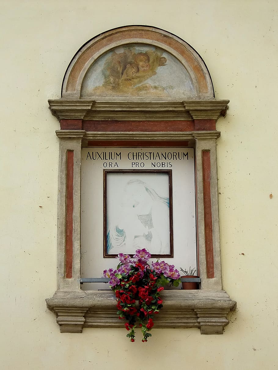 fereastră, vechi, fereastră veche, faţadă, istoricește, erodate, lemn, sticlă, despartire, clădire, ferestre din lemn, oras vechi, ferestre cadru, religie, placuta memoriala, arhitectură, construită, planta cu flori, floare, nici o persoana, montare pe perete, exteriorul clădirii, plantă, arc, text, comunicare, natură, zi, în aer liber, planta in ghiveci, artă și sculptură, a închide, casă, ghiveci, 4K