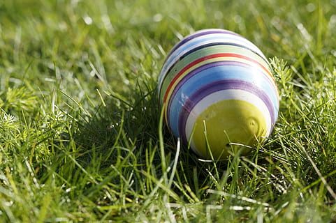 white, blue, green, ball, grass field, easter egg, meadow, spring, easter bunny, easter, lost, hidden, egg, striped, colorful, grass, plant, green color, nature, selective focus, no people, land, multi colored, field, day, close-up, celebration, holiday, outdoors, growth, 5K, CC0, public domain, royalty free