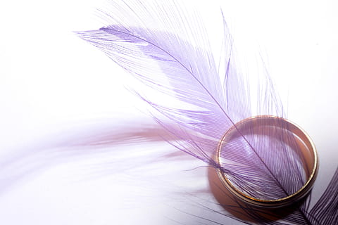 wedding, ring, feather, decor, softness, still life, no people, white background, studio shot, indoors, art and craft, close-up, purple, copy space, craft, pattern, lightweight, white color, pink color, fragility, creativity, selective focus, cut out, hairstyle, 5K, CC0, public domain, royalty free