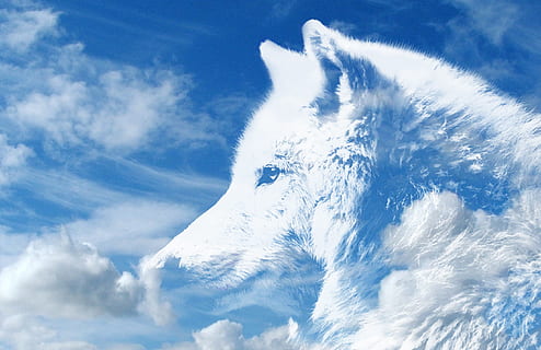 núvols de llops blancs, llop, núvols, cel, atmosfera, mitologia, blanc, éssers espirituals, llum, misteriós, núvol - cel, un animal, mamífer, naturalesa, Color blanc, dia, blau, animal, cap gent, vista d’angle baix, temes d'animals, a l'aire lliure, bellesa a la natura, fauna animal, animals a la natura, llum solar, part del cos dels animals, escenics - natura, directament a sota, 2K, CC0, domini públic, lliure de regalies