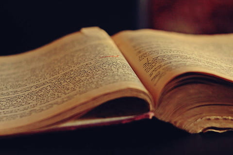 rezervovat, stránky knihy, encyklopedie, znalost, starý, staré knihy, stránek, čtení, vinobraní, literatura, vzdělání, stránka, bible, učení se, moudrost, knihovna, náboženství, antický, staromódní, duchovno, vydání, uvnitř, detail, nikdo, selektivní zaměření, papír, stálý život, otevřeno, dřevo - materiál, tři objekty, občerstvení, Dějiny, černé pozadí, 1080P, CC0, veřejná doména, bez autorských práv