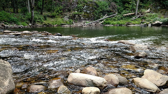 flod, fjern, strøm, strømfald, pool, sten, landskab, natur, udendørs, eventyr, klippe, vand, træ, skønhed i naturen, ro, solid, rock-objekt, dag, flydende vand, Skov, plante, ingen mennesker, rolig scene, jord, scenics - natur, strøm - rindende vand, flyder, overfladisk, 5K, CC0, offentligt domæne, royaltyfrie