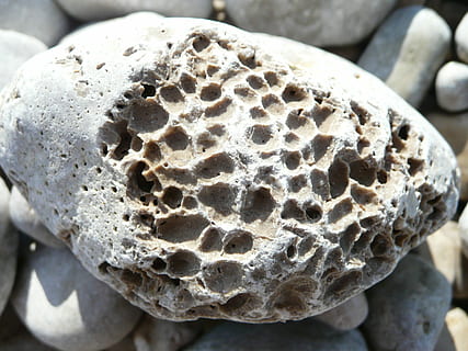 pedra, còdols, erosió, primer pla, textura, cap gent, bresca, dia, a l'aire lliure, patró natural, sòlid, centrar-se en primer pla, patró, rock, naturalesa, rock - object, animals a la natura, fauna animal, animal, llum solar, pedra - objecte, disseny, forma, 2K, CC0, domini públic, lliure de regalies